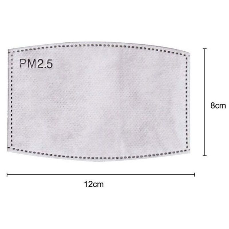 2PCS Mask Filter Element PM2.5 - Pm2.5 Filter Insert のレビューと価格